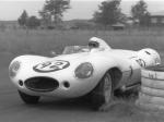 Jaguar D-Type 1955 года